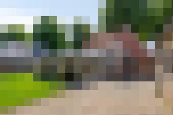 Pastoor van Hapertstraat 31 Lith thumbnail 21