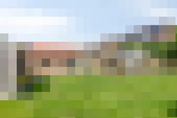 Pastoor van Hapertstraat 31 Lith thumbnail 23