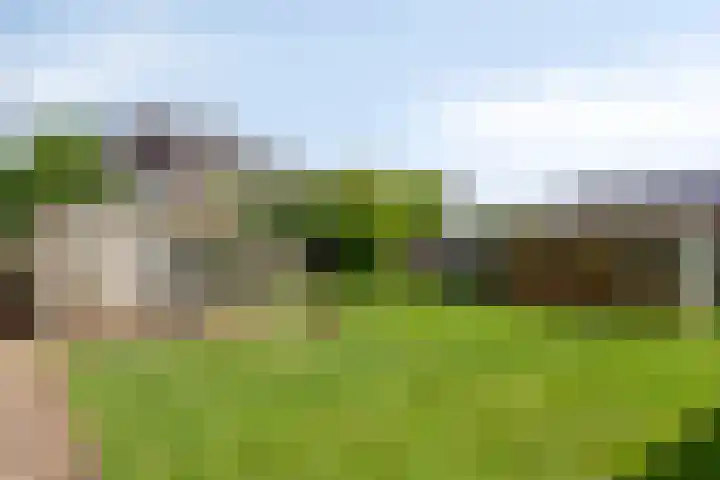 Pastoor van Hapertstraat 31 Lith thumbnail 24