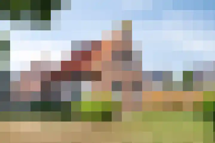 Pastoor van Hapertstraat 31 Lith thumbnail 27