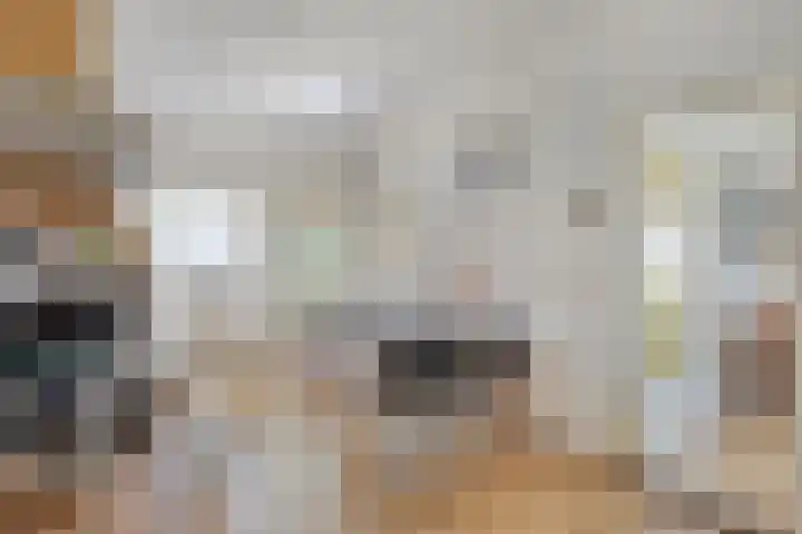 Pastoor van Hapertstraat 31 Lith thumbnail 4
