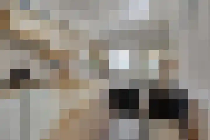 Pastoor van Hapertstraat 31 Lith thumbnail 5