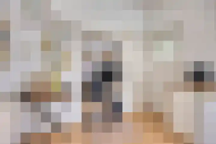 Pastoor van Hapertstraat 31 Lith thumbnail 6
