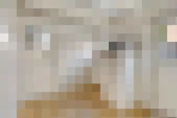 Pastoor van Hapertstraat 31 Lith thumbnail 9