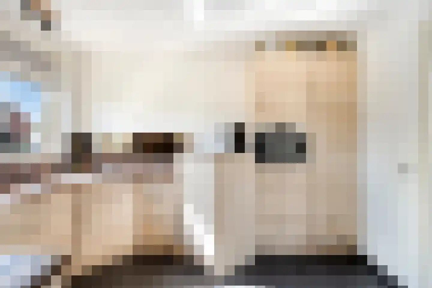 Pastoor van Hapertstraat 33 Lith thumbnail 15