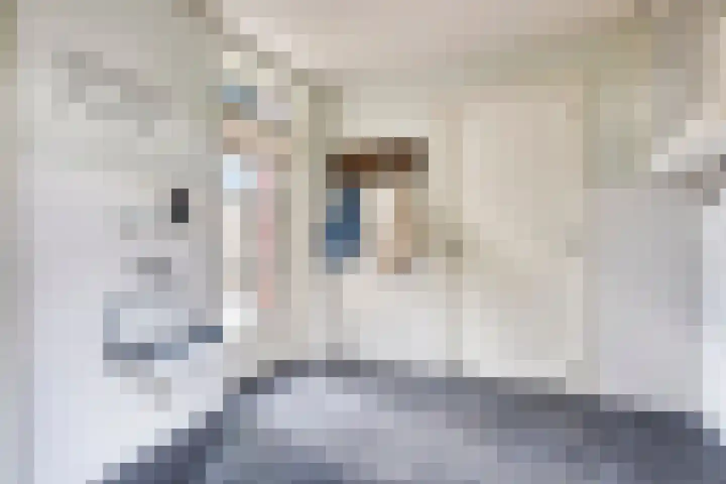 Pastoor van Hapertstraat 33 Lith thumbnail 18