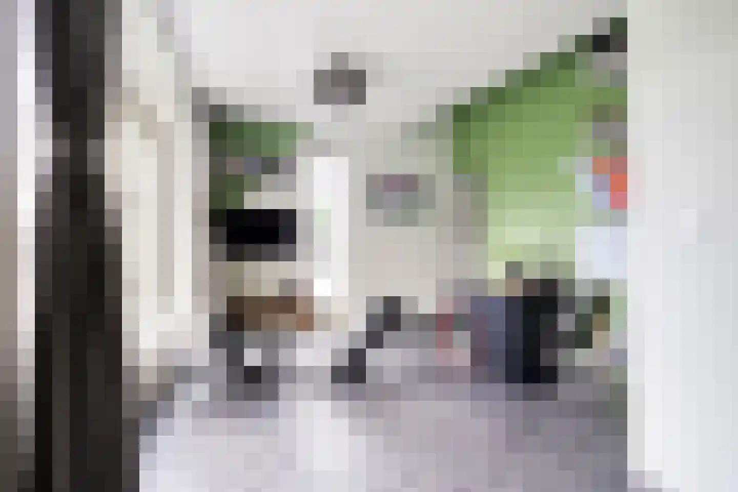Pastoor van Hapertstraat 33 Lith thumbnail 20