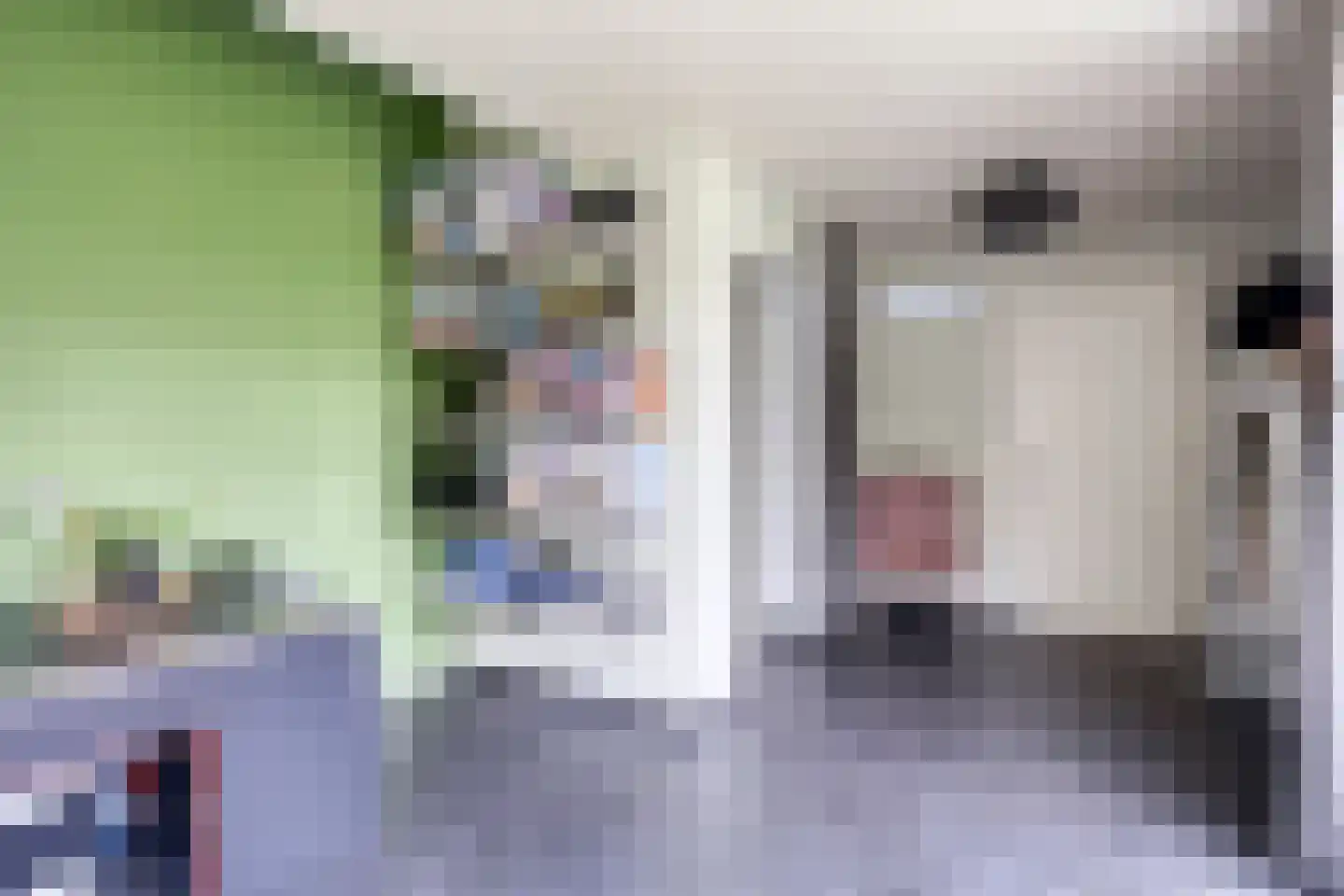 Pastoor van Hapertstraat 33 Lith thumbnail 21
