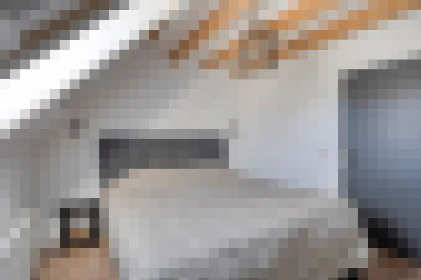 Pastoor van Hapertstraat 33 Lith thumbnail 28