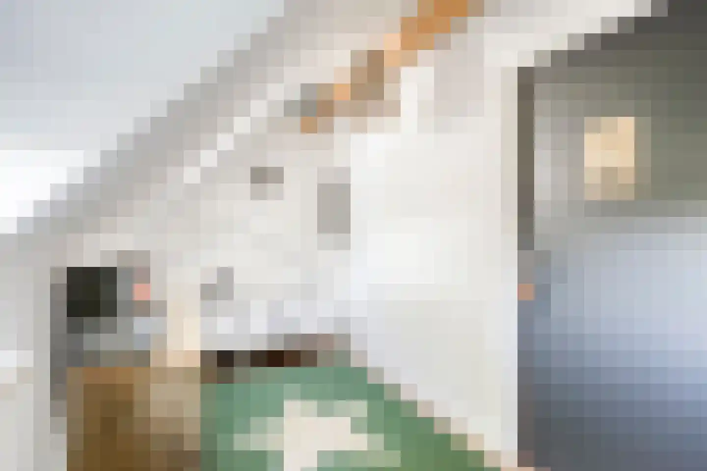Pastoor van Hapertstraat 33 Lith thumbnail 32