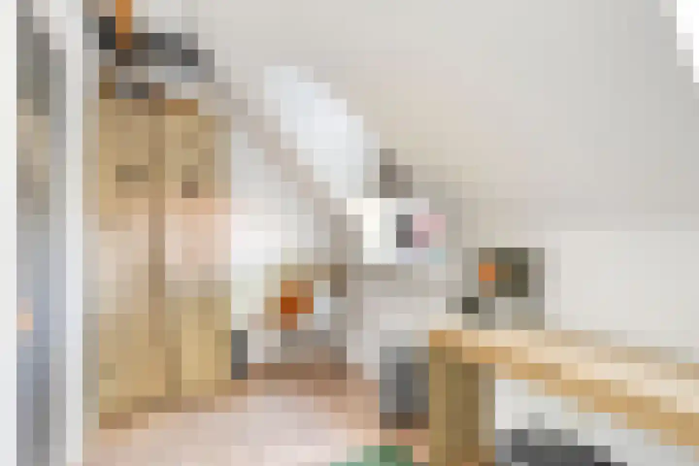 Pastoor van Hapertstraat 33 Lith thumbnail 33
