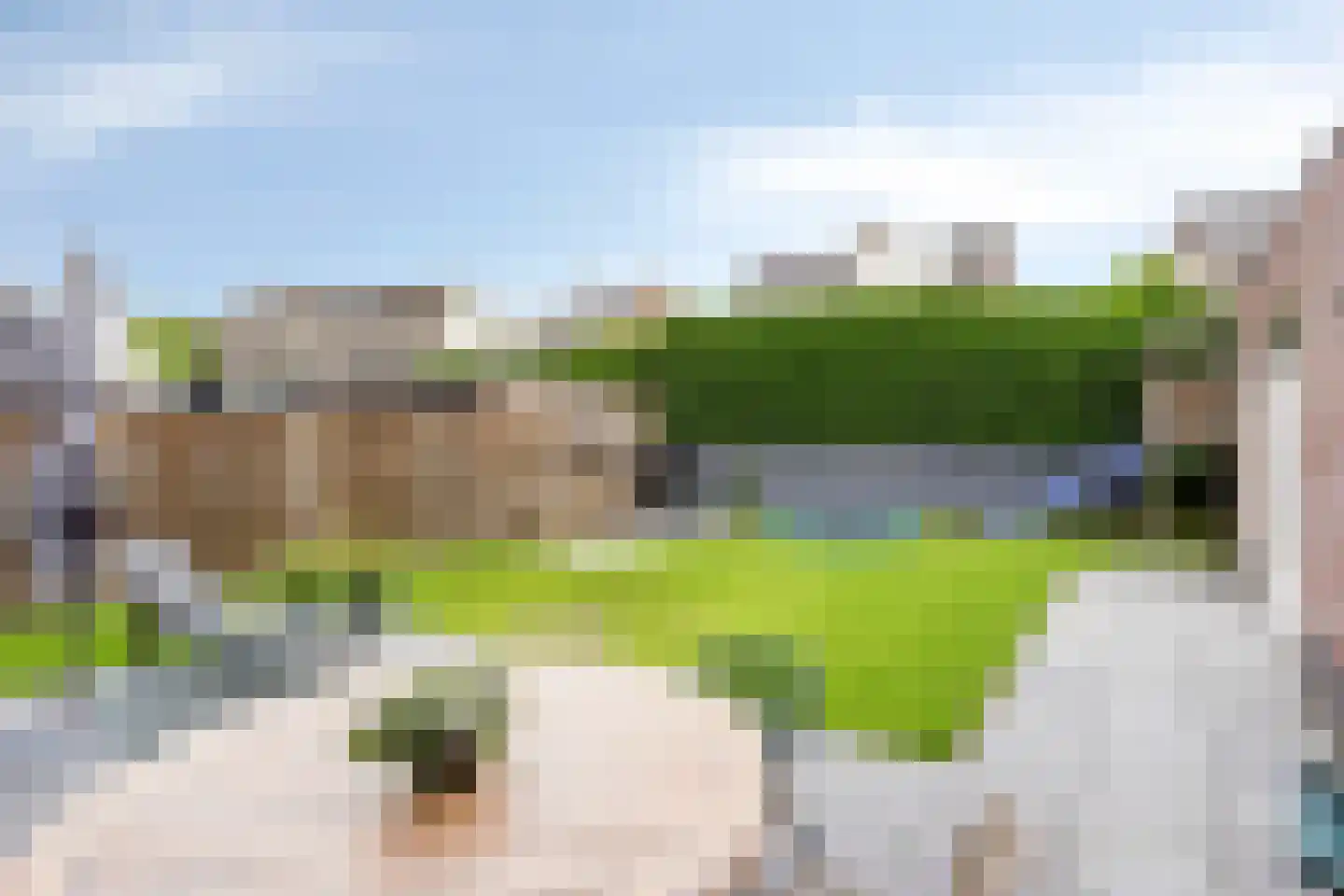Pastoor van Hapertstraat 33 Lith thumbnail 4