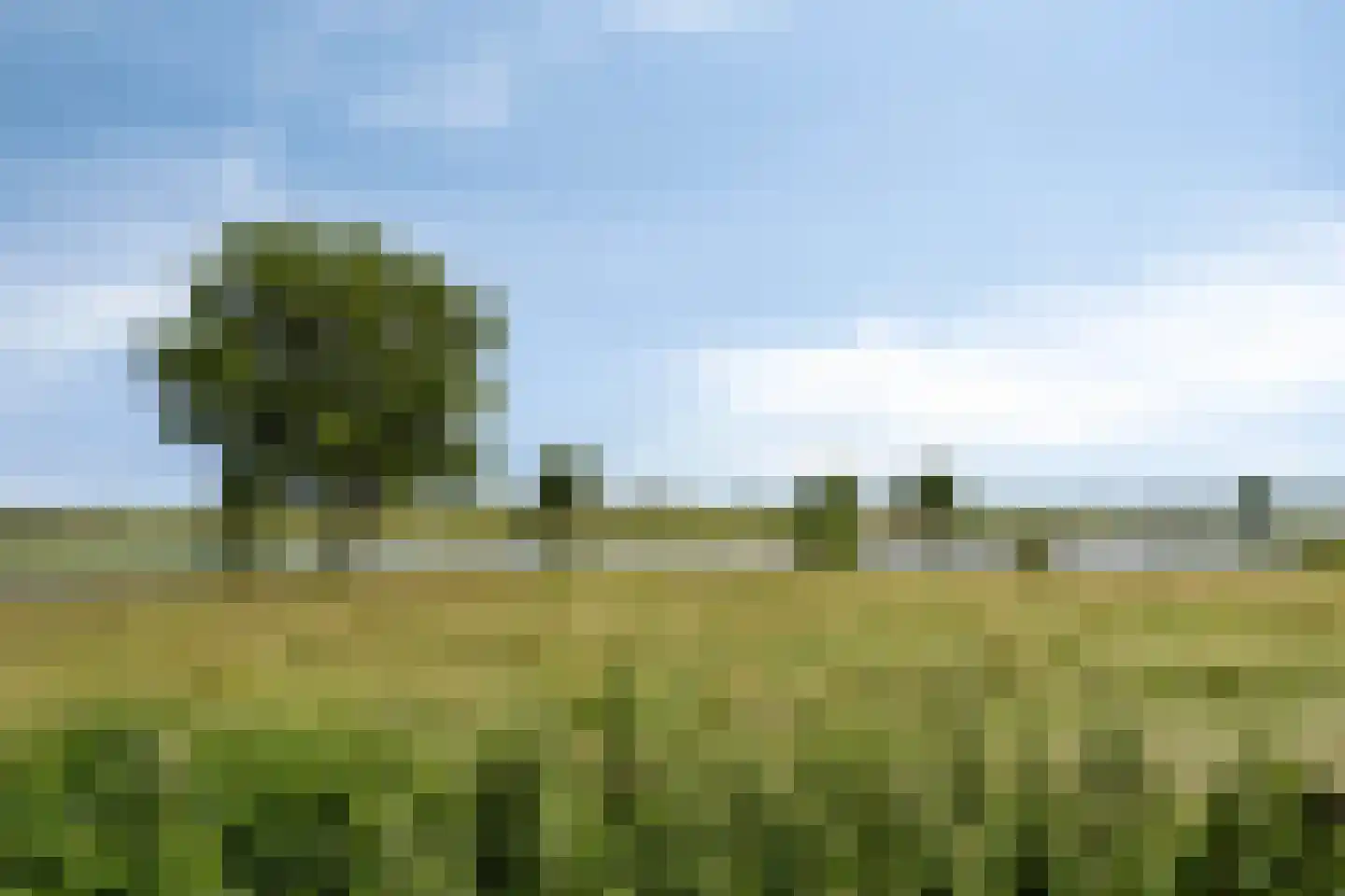 Pastoor van Hapertstraat 33 Lith thumbnail 45
