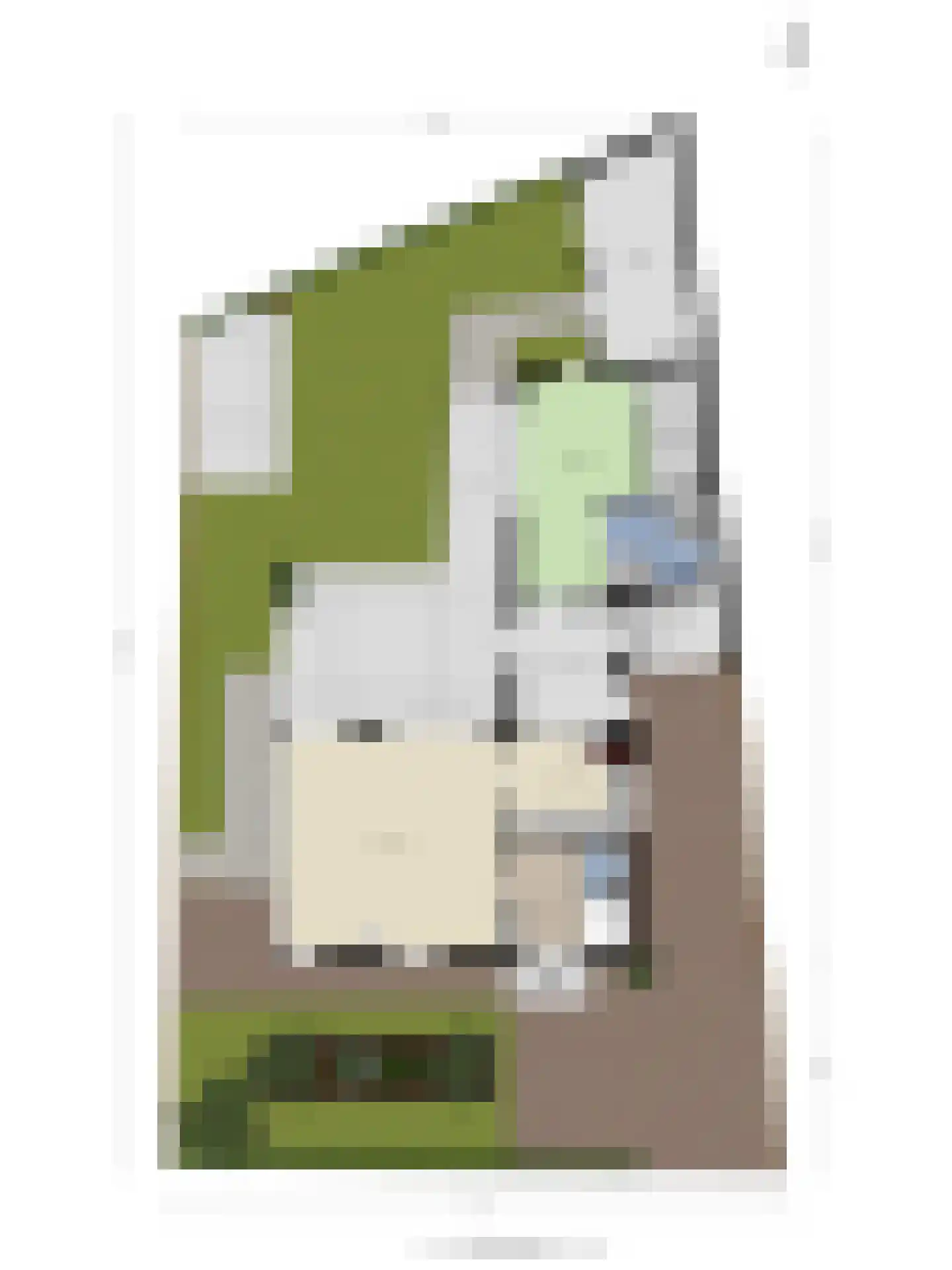 Pastoor van Hapertstraat 33 Lith thumbnail 46