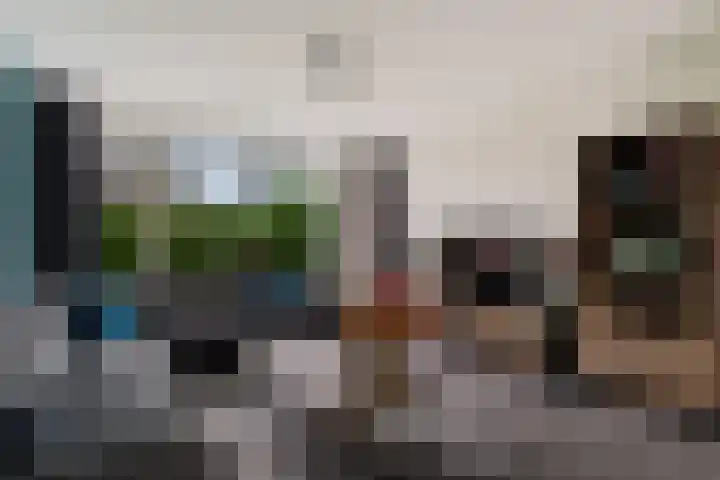 Pastoor van Hapertstraat 4 Lith thumbnail 10