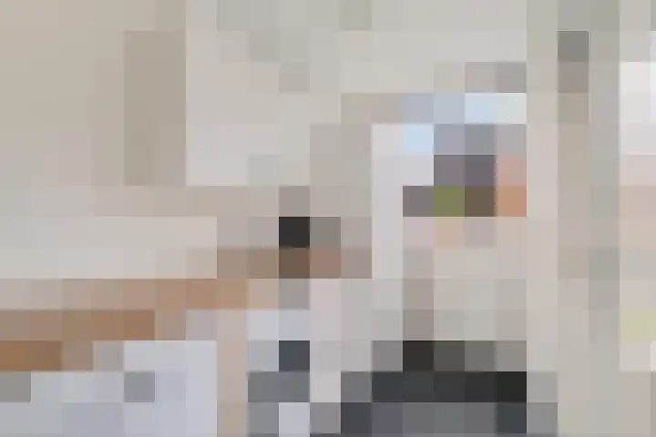 Pastoor van Hapertstraat 4 Lith thumbnail 19