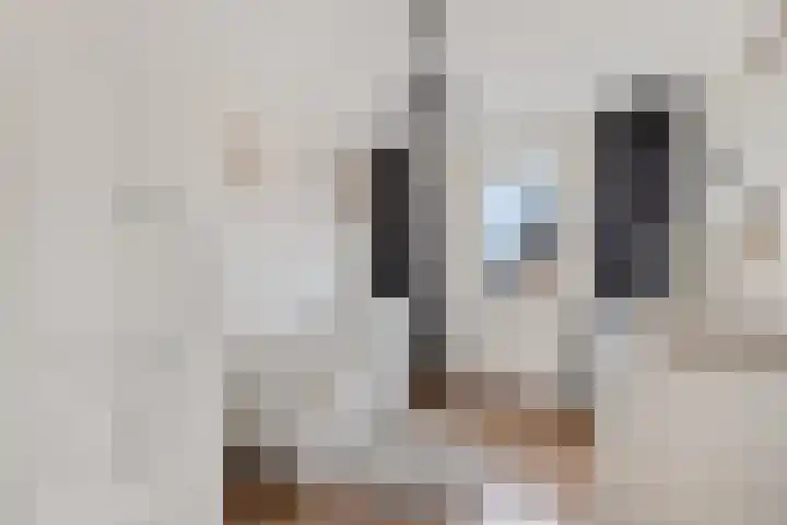 Pastoor van Hapertstraat 4 Lith thumbnail 27