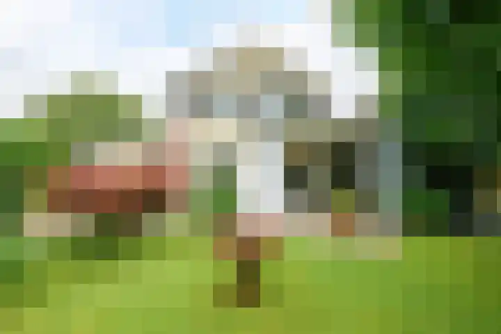Pastoor van Herckstraat 25 Gilze thumbnail 33