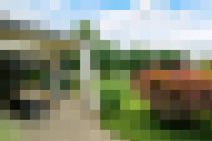 Pastoor van Herckstraat 25 Gilze thumbnail 36