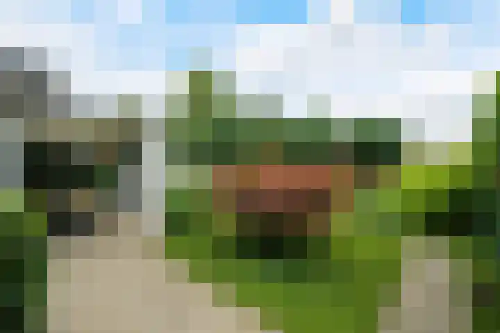Pastoor van Herckstraat 25 Gilze thumbnail 37