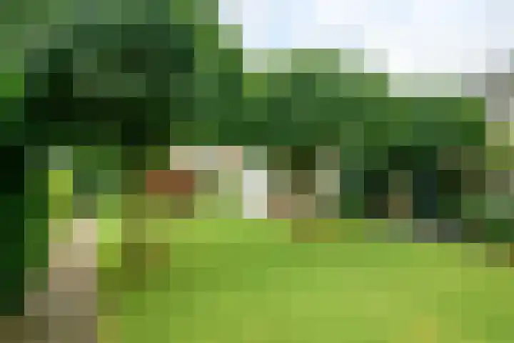 Pastoor van Herckstraat 25 Gilze thumbnail 38