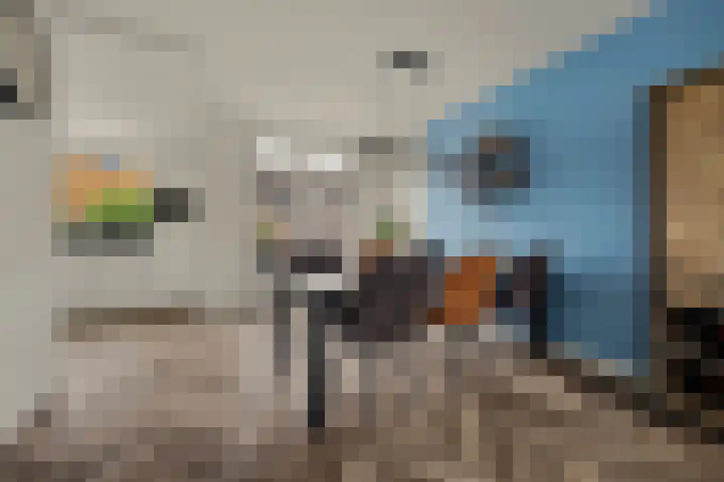 Pastoor van Hooijdonklaan 12 Lage Zwaluwe thumbnail 10