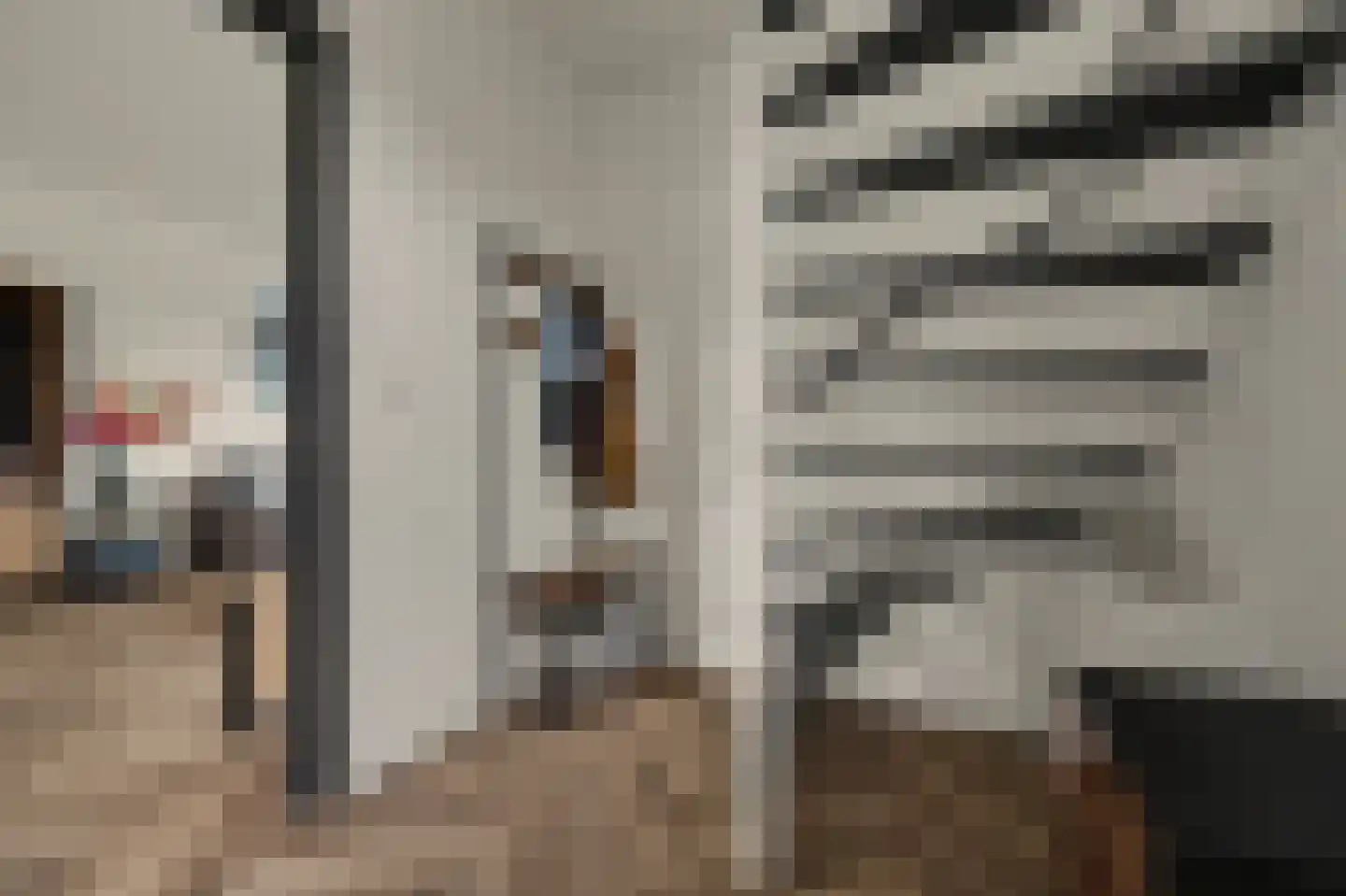 Pastoor van Hooijdonklaan 12 Lage Zwaluwe thumbnail 14