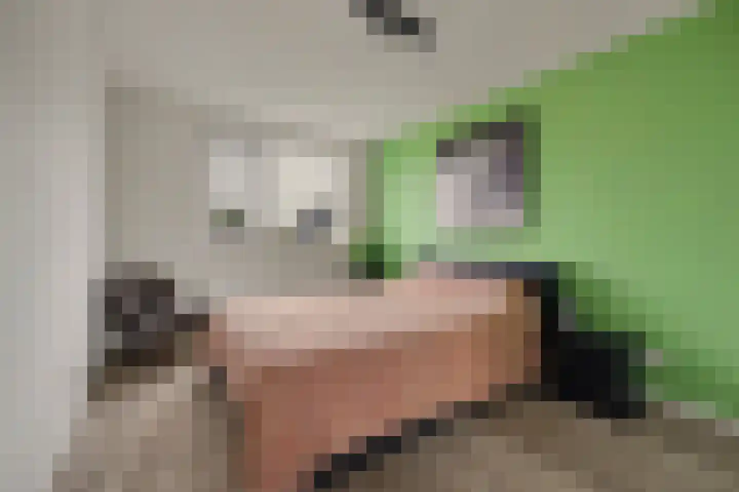 Pastoor van Hooijdonklaan 12 Lage Zwaluwe thumbnail 16