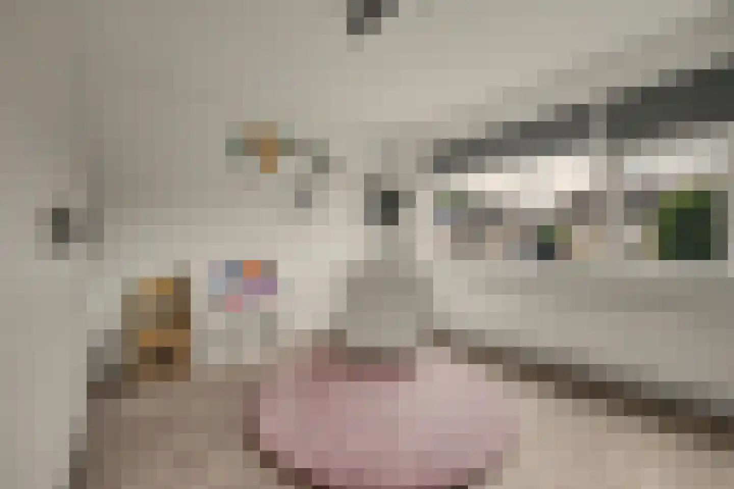 Pastoor van Hooijdonklaan 12 Lage Zwaluwe thumbnail 18