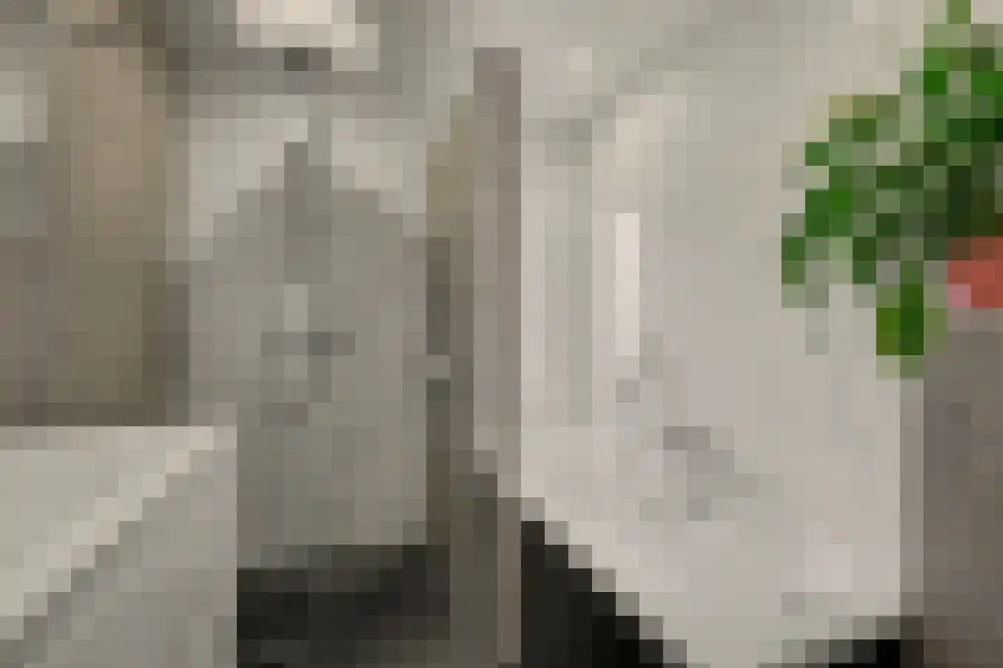 Pastoor van Hooijdonklaan 12 Lage Zwaluwe thumbnail 21