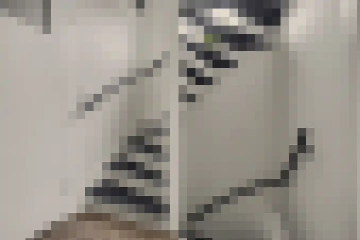 Pastoor van Hooijdonklaan 12 Lage Zwaluwe thumbnail 25