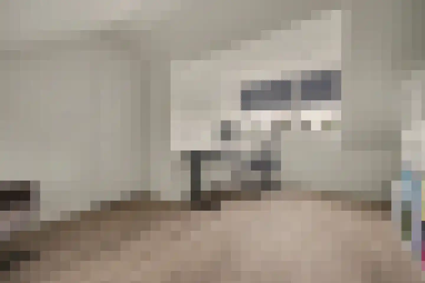 Pastoor van Hooijdonklaan 12 Lage Zwaluwe thumbnail 28