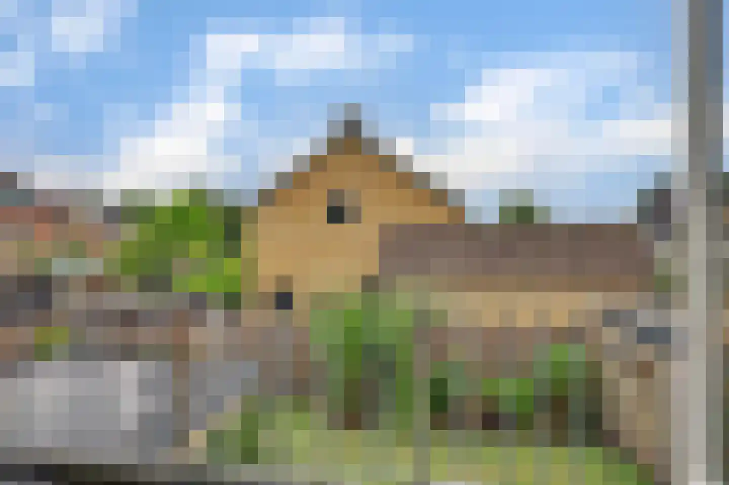 Pastoor van Hooijdonklaan 12 Lage Zwaluwe thumbnail 30