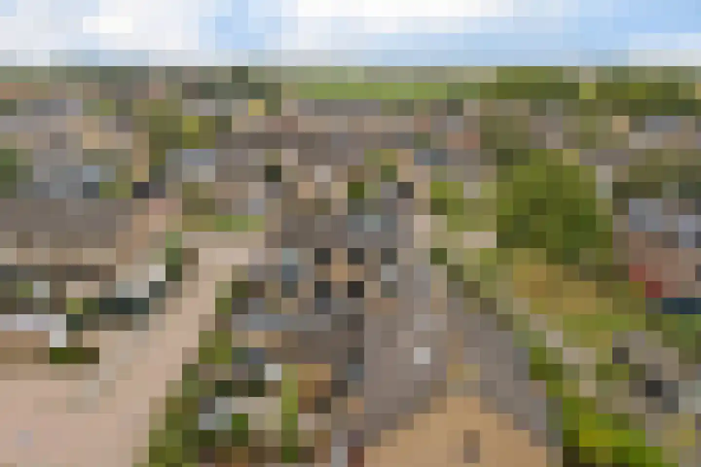Pastoor van Hooijdonklaan 12 Lage Zwaluwe thumbnail 46