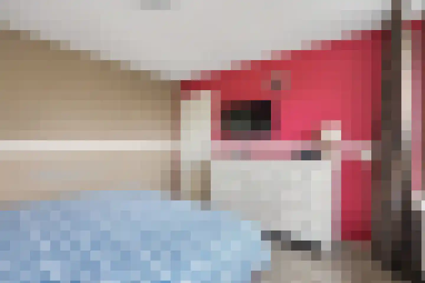 Pastoor van Hooijdonklaan 23 Lage Zwaluwe thumbnail 17