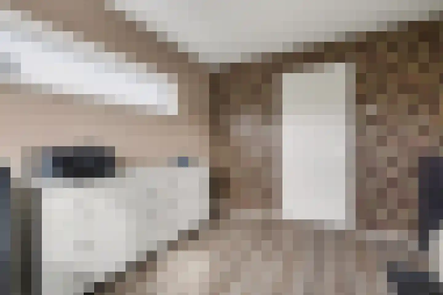 Pastoor van Hooijdonklaan 23 Lage Zwaluwe thumbnail 19