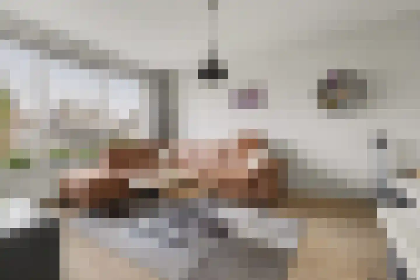 Pastoor van Hooijdonklaan 23 Lage Zwaluwe foto 2