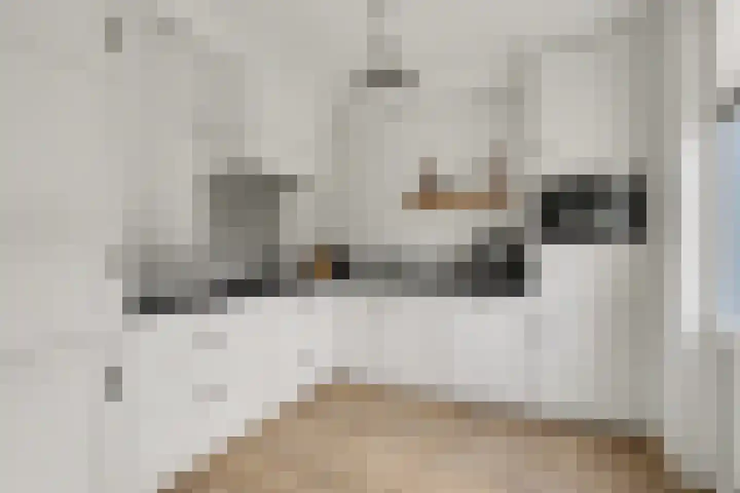 Pastoor van Hooijdonklaan 23 Lage Zwaluwe foto 3