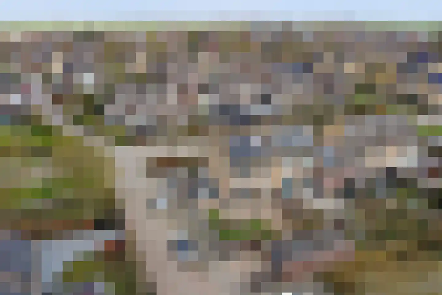 Pastoor van Hooijdonklaan 23 Lage Zwaluwe thumbnail 40