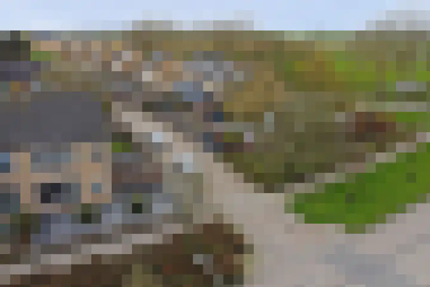 Pastoor van Hooijdonklaan 23 Lage Zwaluwe thumbnail 44