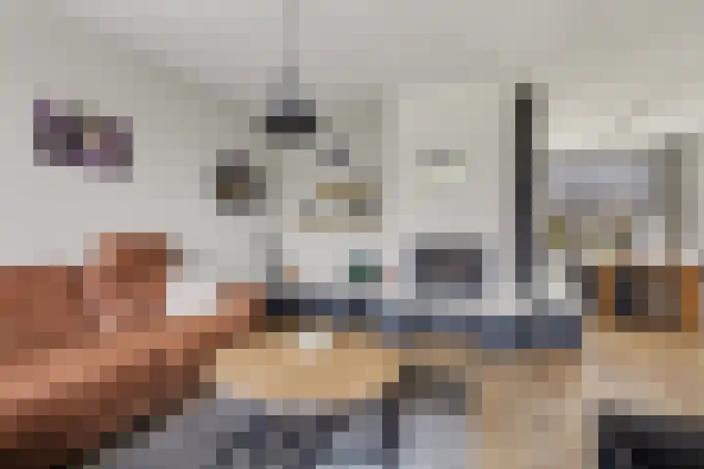 Pastoor van Hooijdonklaan 23 Lage Zwaluwe thumbnail 8