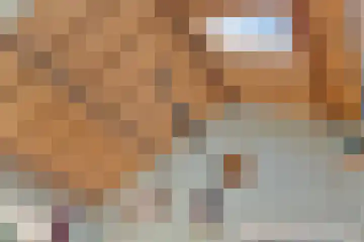 Pastoor van Houtstraat 12 Odiliapeel thumbnail 10