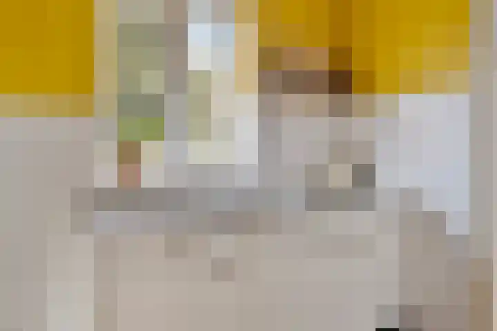Pastoor van Houtstraat 12 Odiliapeel thumbnail 15