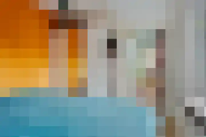 Pastoor van Houtstraat 12 Odiliapeel thumbnail 19