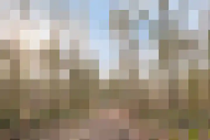 Pastoor van Houtstraat 12 Odiliapeel thumbnail 38