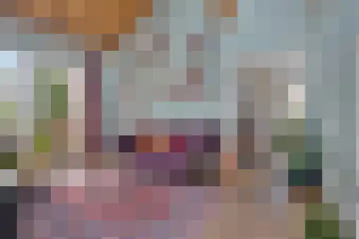 Pastoor van Houtstraat 12 Odiliapeel thumbnail 4