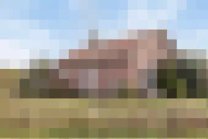 Pastoor van Houtstraat 12 Odiliapeel thumbnail 42