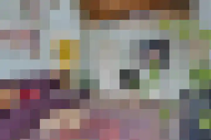 Pastoor van Houtstraat 12 Odiliapeel thumbnail 7
