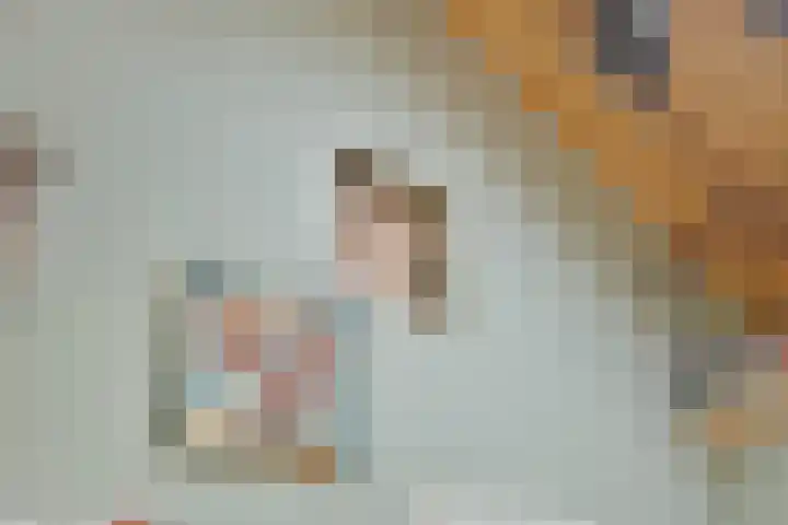 Pastoor van Houtstraat 12 Odiliapeel thumbnail 8