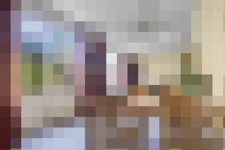Pastoor van Houtstraat 3 Odiliapeel thumbnail 11